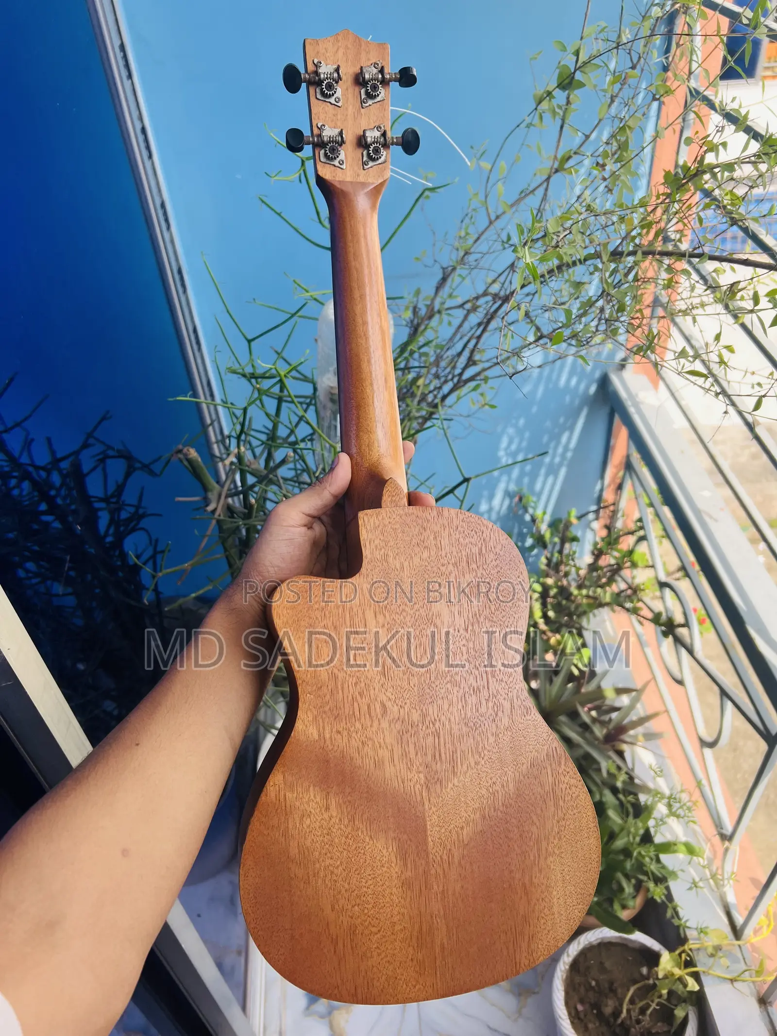 Ukulele BWS