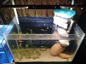 Planted Aquarium Full Setup 1.5 Feet / 9"