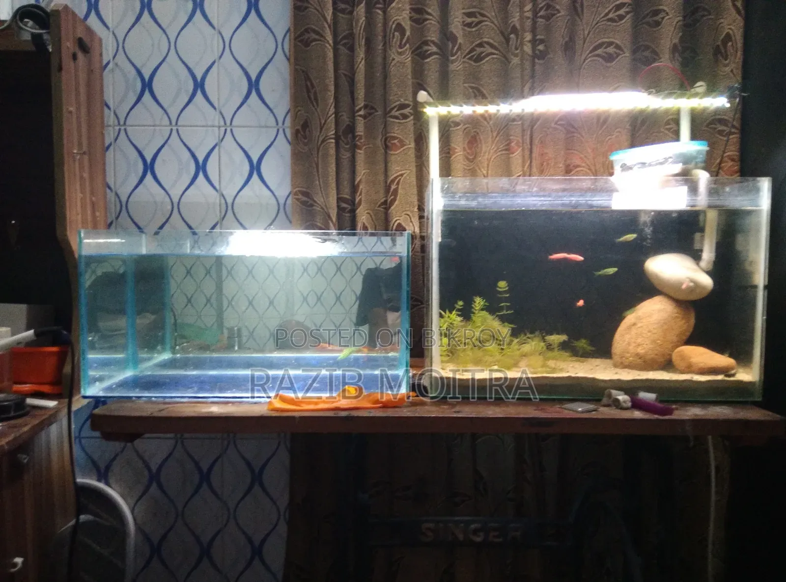 Planted Aquarium Full Setup 1.5 Feet / 9"