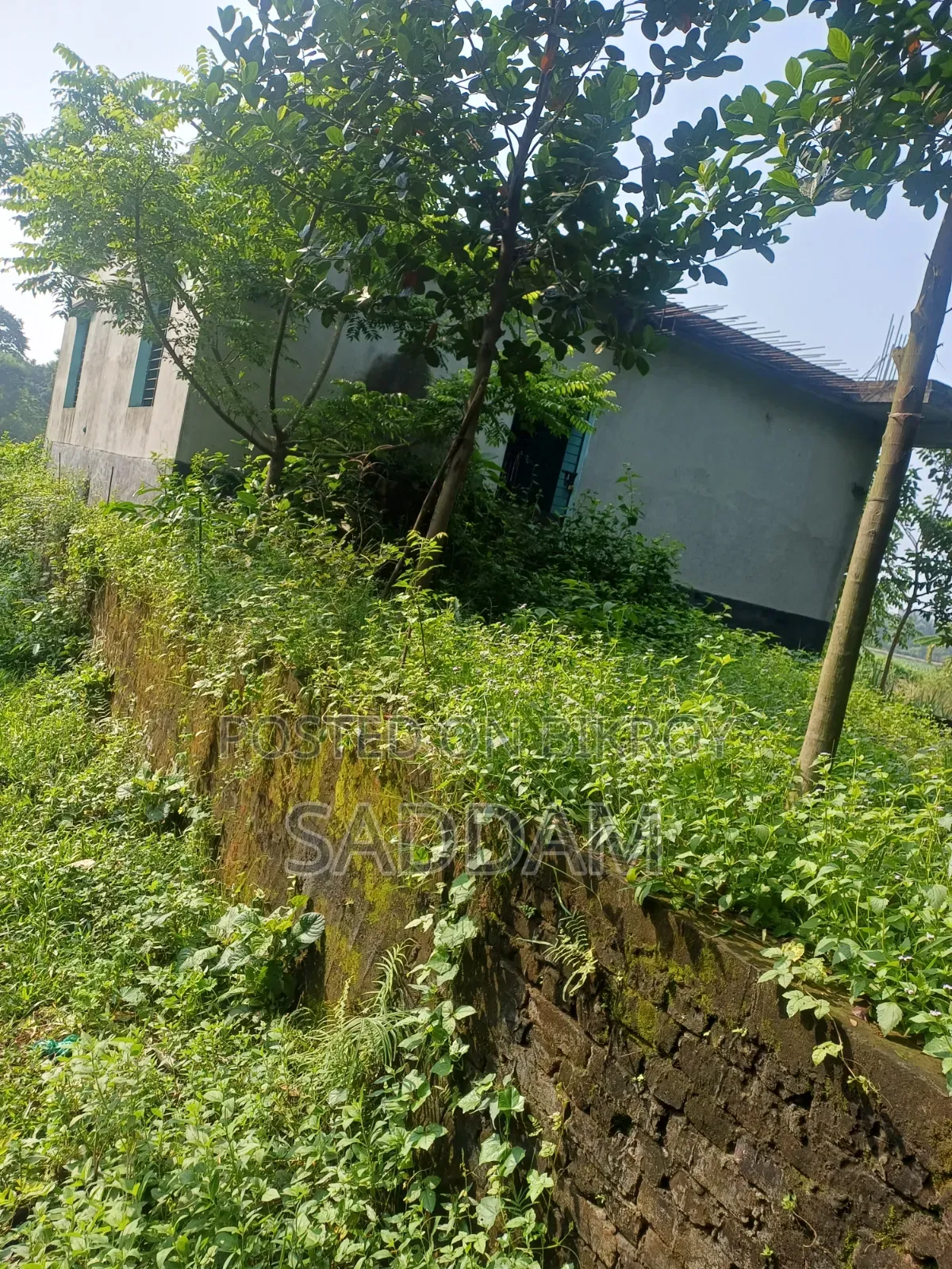Land for sale