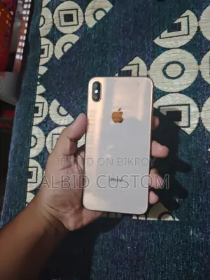 অ্যাপল আইফোন এক্সএস ম্যাক্স ৬৪ জিবি রোজ গোল্ড
