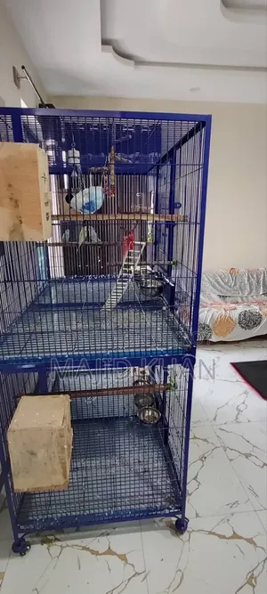 ভালো মানের নীল রঙের লোহার তারের পাখি/মুরগির খাঁচা বিক্রয়।
