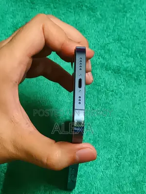 অ্যাপল আইফোন ১৩ প্রো ২৫৬ জিবি নীল