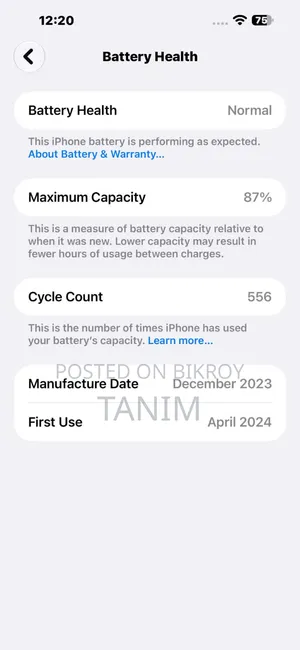 Apple iPhone 15 Pro Max 256 GB Silver