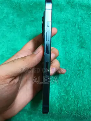 অ্যাপল আইফোন ১৩ প্রো ২৫৬ জিবি নীল