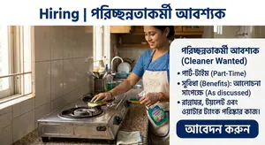 Project Based Part-Time Cleaner Needed