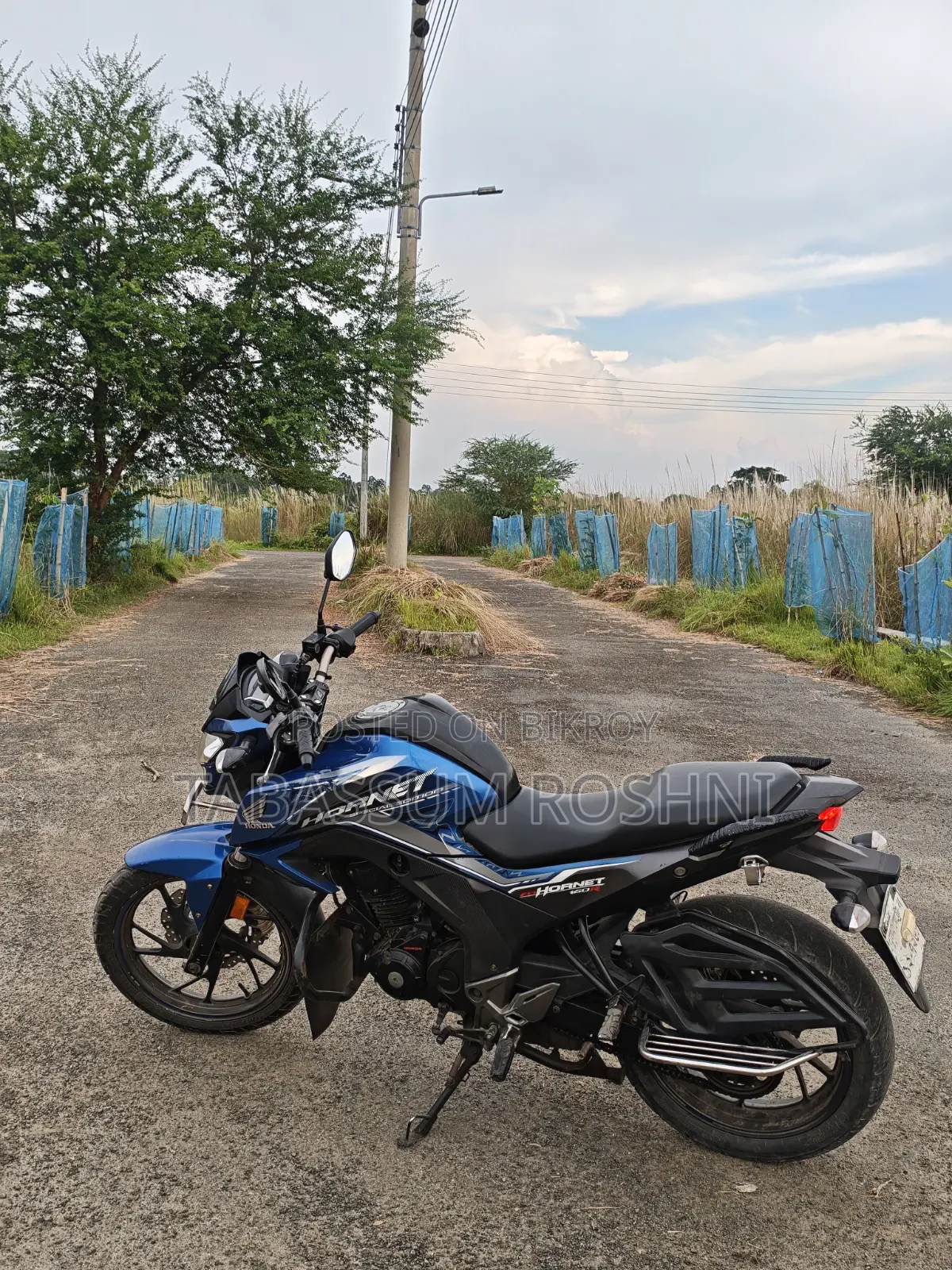 Honda Hornet 2020 Blue