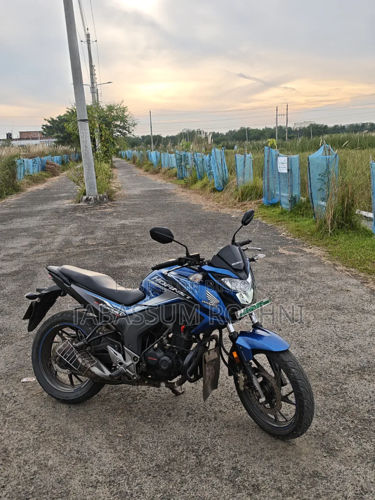 Honda Hornet 2020 Blue