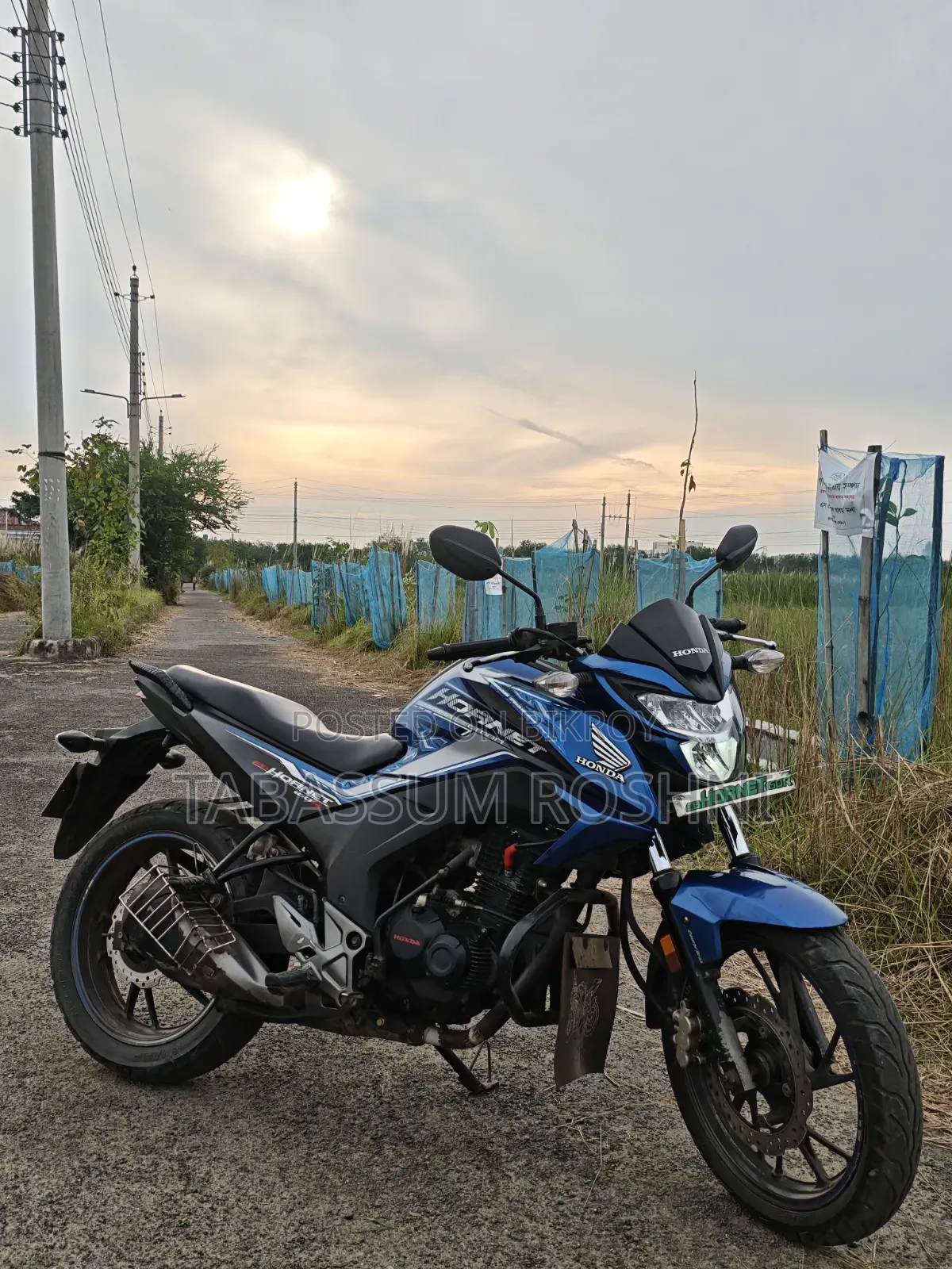 Honda Hornet 2020 Blue