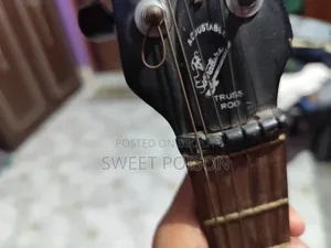 Signature Guitar