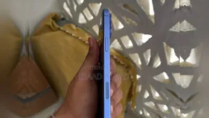 অ্যাপল আইফোন ১৬ প্লাস ১২৮ জিবি