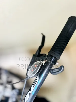 ফিনিক্স ট্রুপার বাইসাইকেল