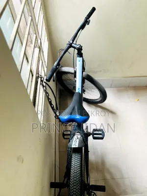 ফিনিক্স ট্রুপার বাইসাইকেল
