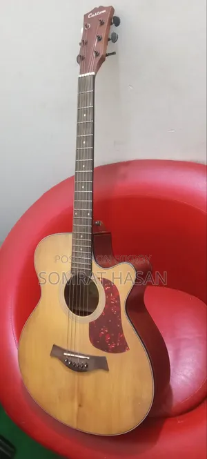 Custom Acoutic Guitar With Preamp