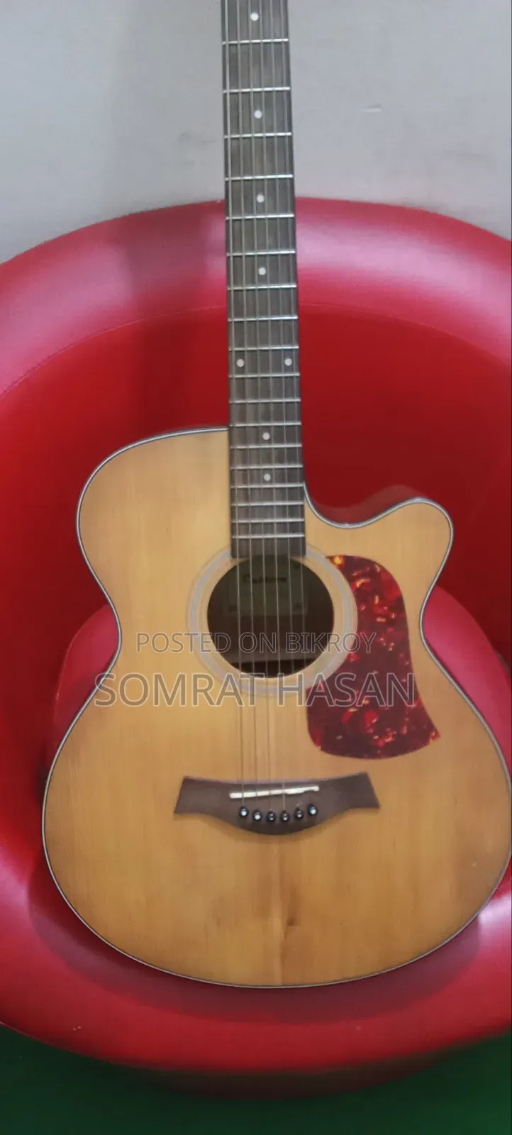 Custom Acoutic Guitar With Preamp