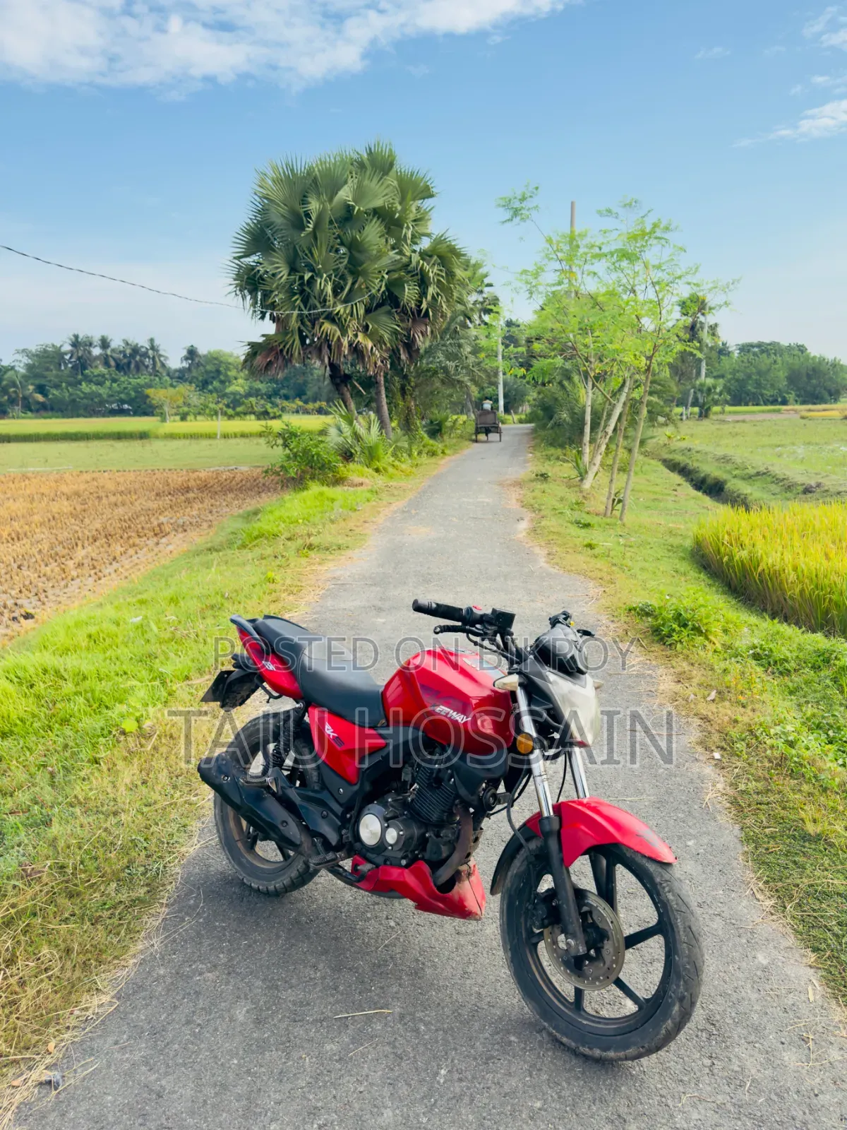 বেনেলি ২০১৭ রেড