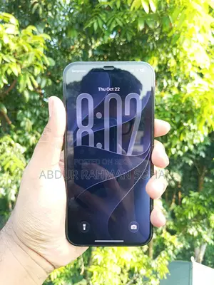 Apple iPhone 12 Pro Max 256 GB Blue