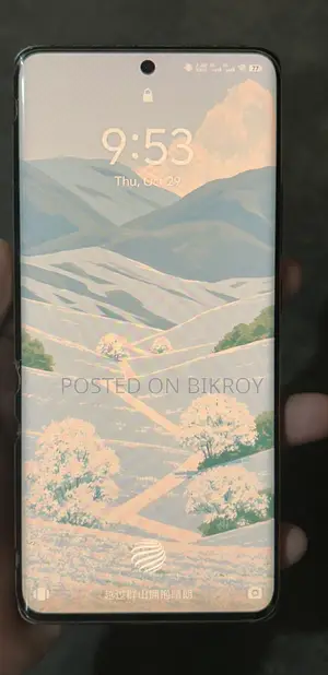 Vivo X70 Pro 256 GB Black