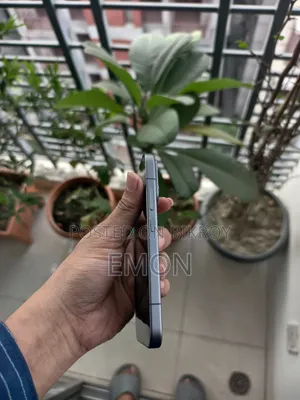 শাওমি ১৭ প্রো ২৫৬ জিবি