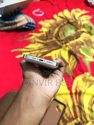 অ্যাপল আইফোন ১৩ প্রো ১২৮ জিবি সিলভার