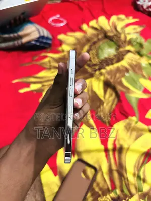 অ্যাপল আইফোন ১৩ প্রো ১২৮ জিবি সিলভার