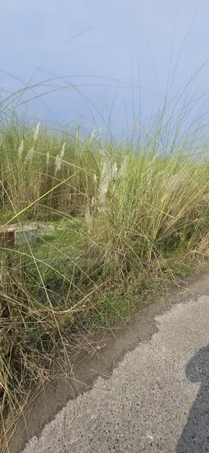 উত্তরা রাজউক বরাদ্দকৃত প্লট বিক্রি