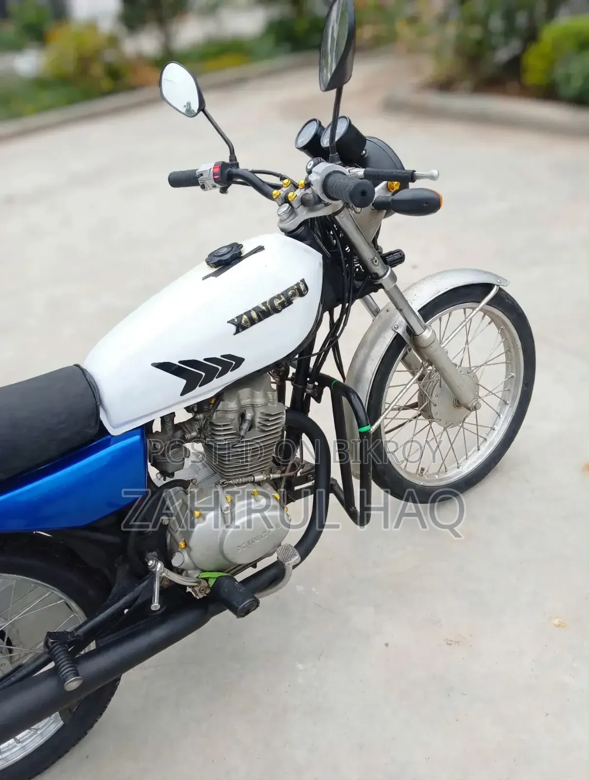 সিনোকি সিজি১২৫ ২০২১ সাদা