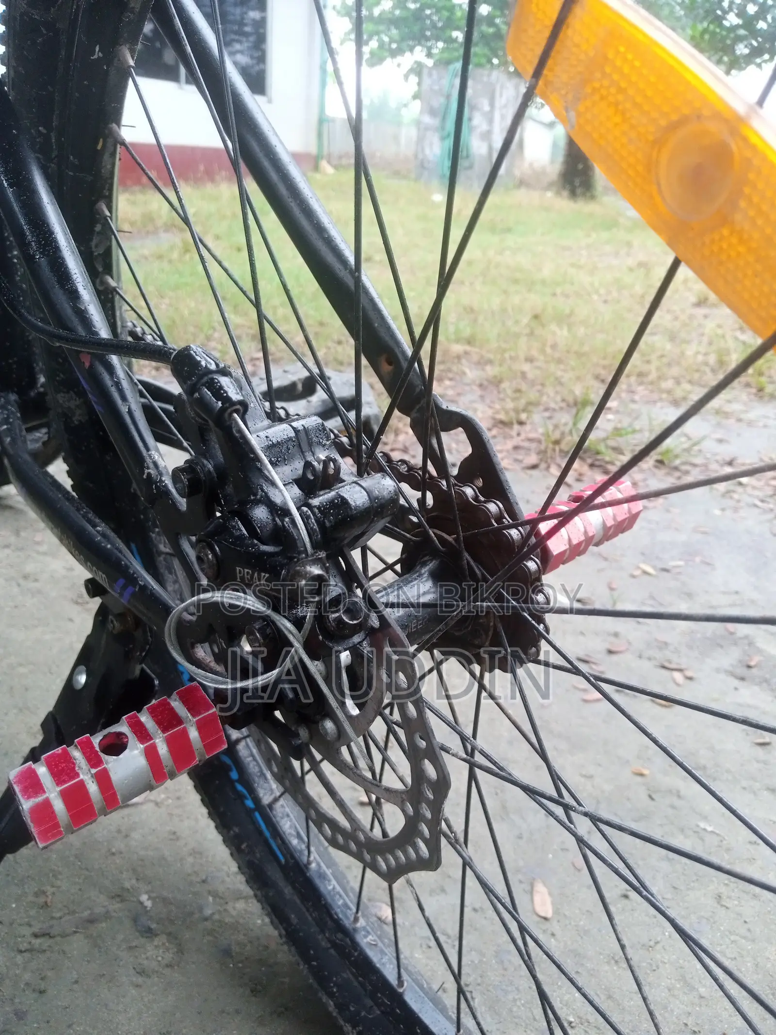 Cycle Bycycle সাইকেল