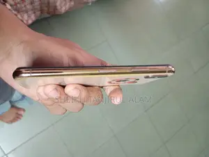 অ্যাপল আইফোন এক্সএস ২৫৬ জিবি রোজ গোল্ড