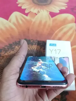 Vivo Y17 256 GB Pink