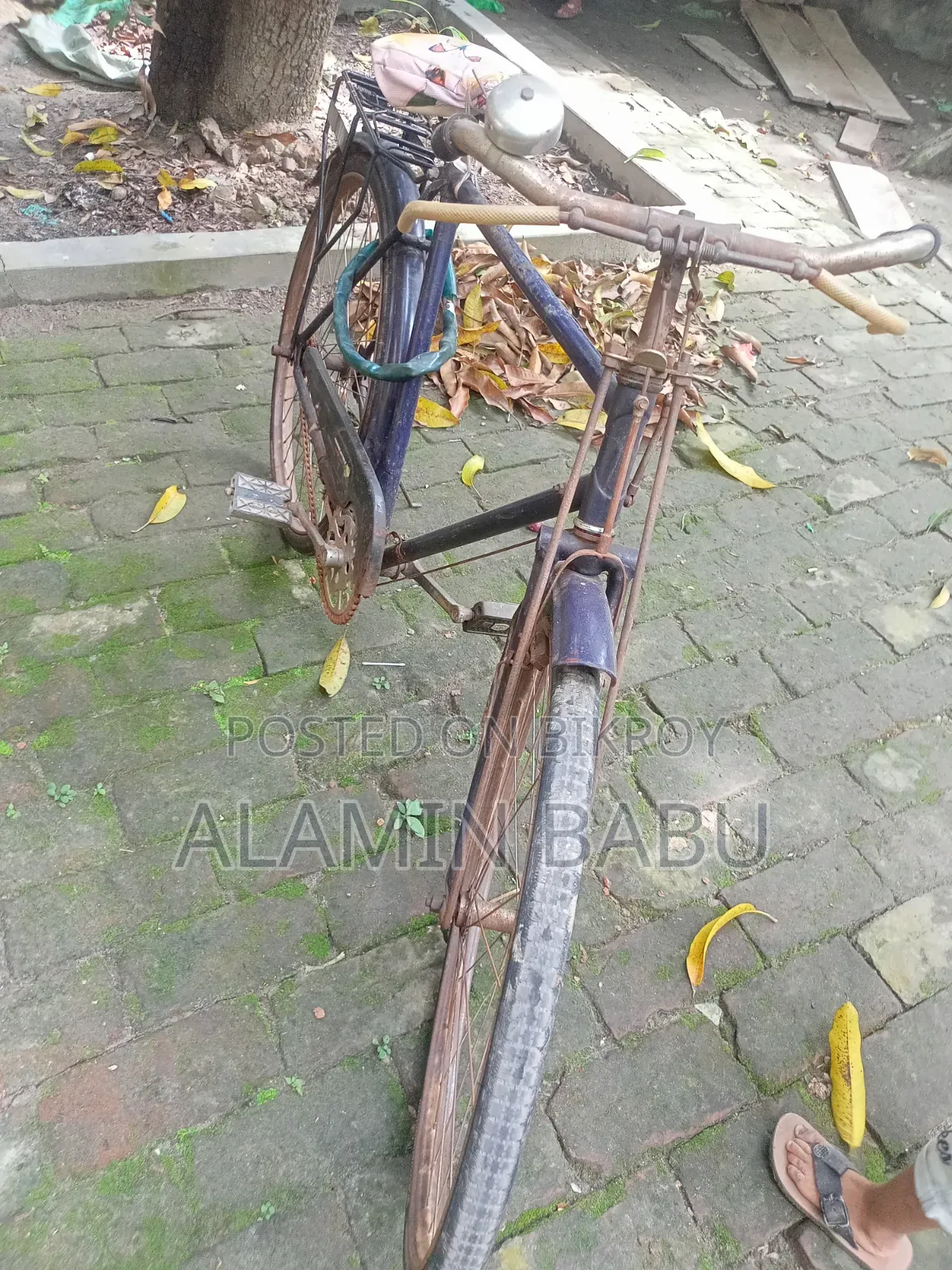 বিয়ে সাইকেল