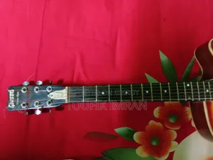 Givson Venus Rose