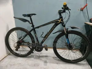ফিনিক্স গিয়ার সাইকেল