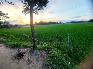 জমি বিক্রি হবে ৫ শতাংশ