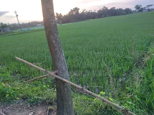 জমি বিক্রি হবে ৫ শতাংশ