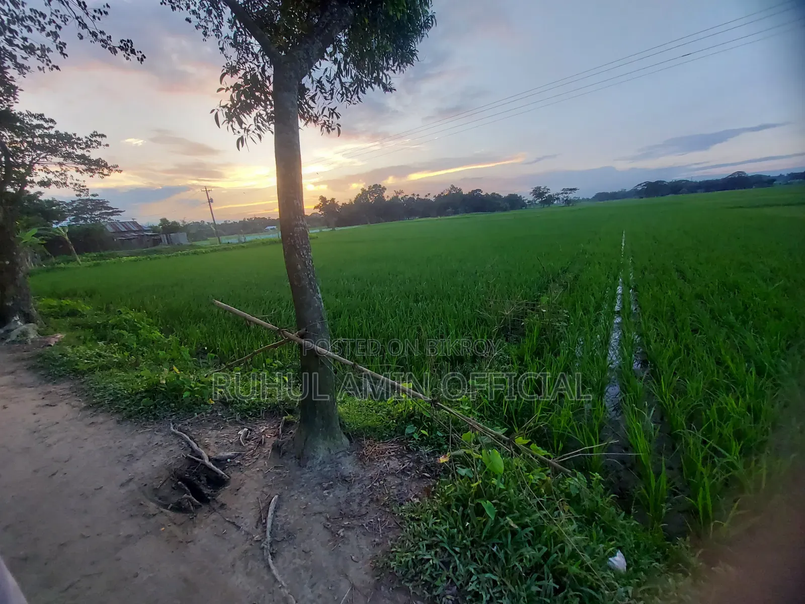 জমি বিক্রি হবে ৫ শতাংশ