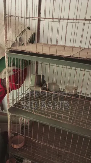Pigeon Cage 24/18