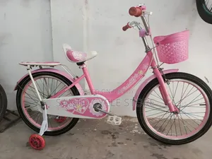 ২০ সাইজের লেডিস্ বাইসাইকেল