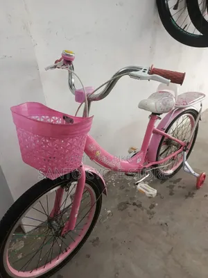 ২০ সাইজের লেডিস্ বাইসাইকেল