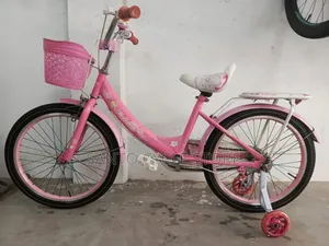 ২০ সাইজের লেডিস্ বাইসাইকেল