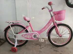 ২০ সাইজের লেডিস্ বাইসাইকেল
