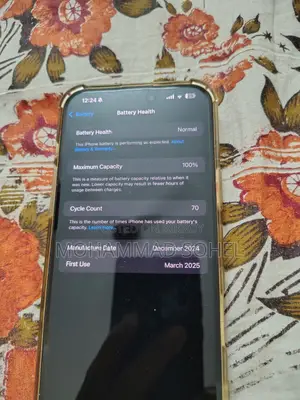Apple iPhone 16 Pro Max 256 GB Rose Gold