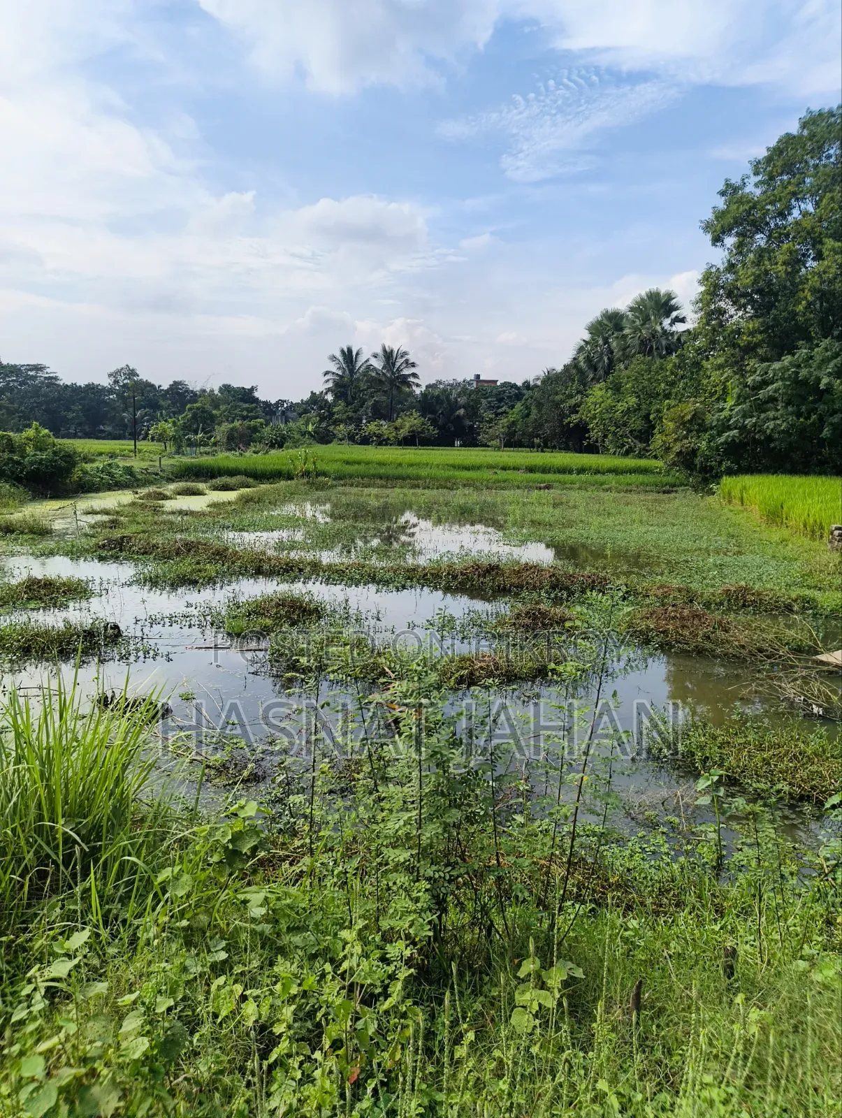 ২ পাশে রাস্তা, ৩৩ নং যোগীতলা প্রাথমিক বিদ্যালয় এর পাশে।