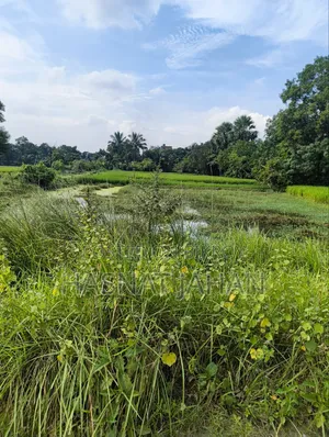 ২ পাশে রাস্তা, ৩৩ নং যোগীতলা প্রাথমিক বিদ্যালয় এর পাশে।