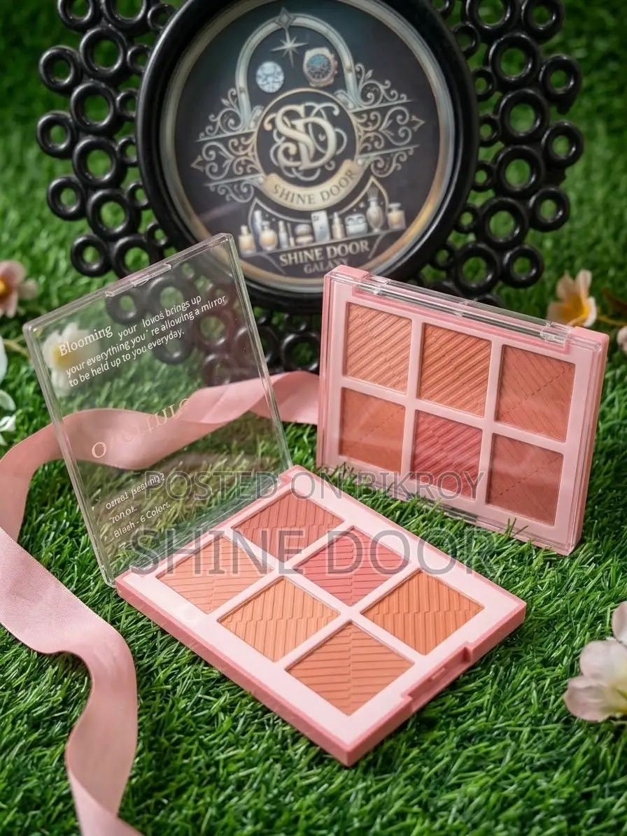 ৬ কালারের চমৎকার ব্লাশার প্যালেট (6-Color Blush Palette Palette)