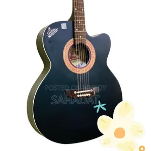 সিগনেচার গিটার (রঘু)