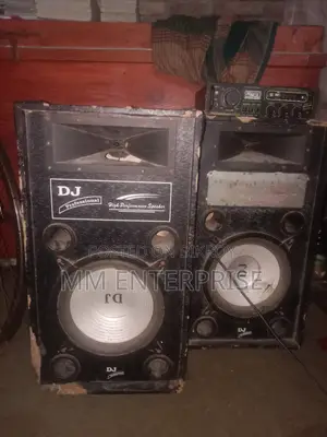 অ্যামপ্লিফায়ার সহ দুটি (১২ ইঞ্চি) সাউন্ড বক্স