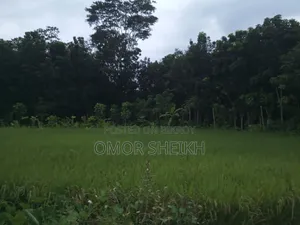 This land will be sold urgently, does anyone want to take it?