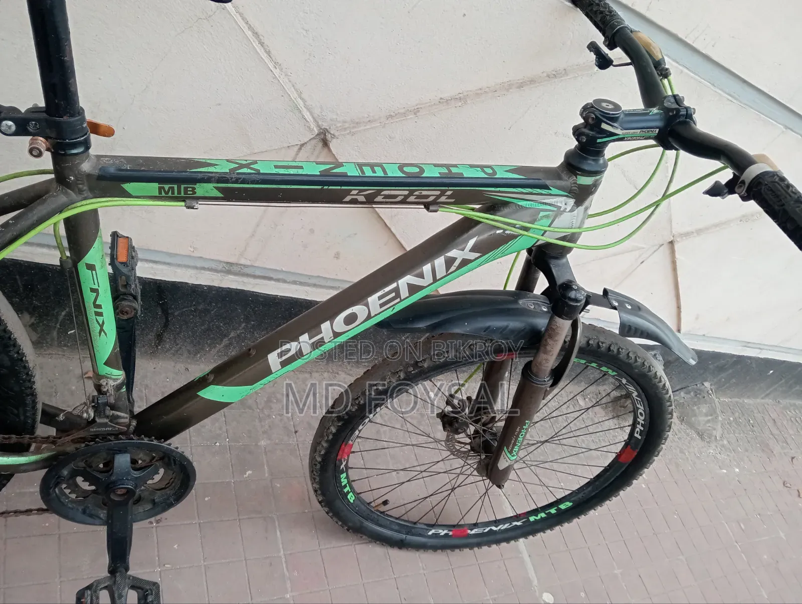 26 Size Phoenix Full Almoniam Giar Cycle