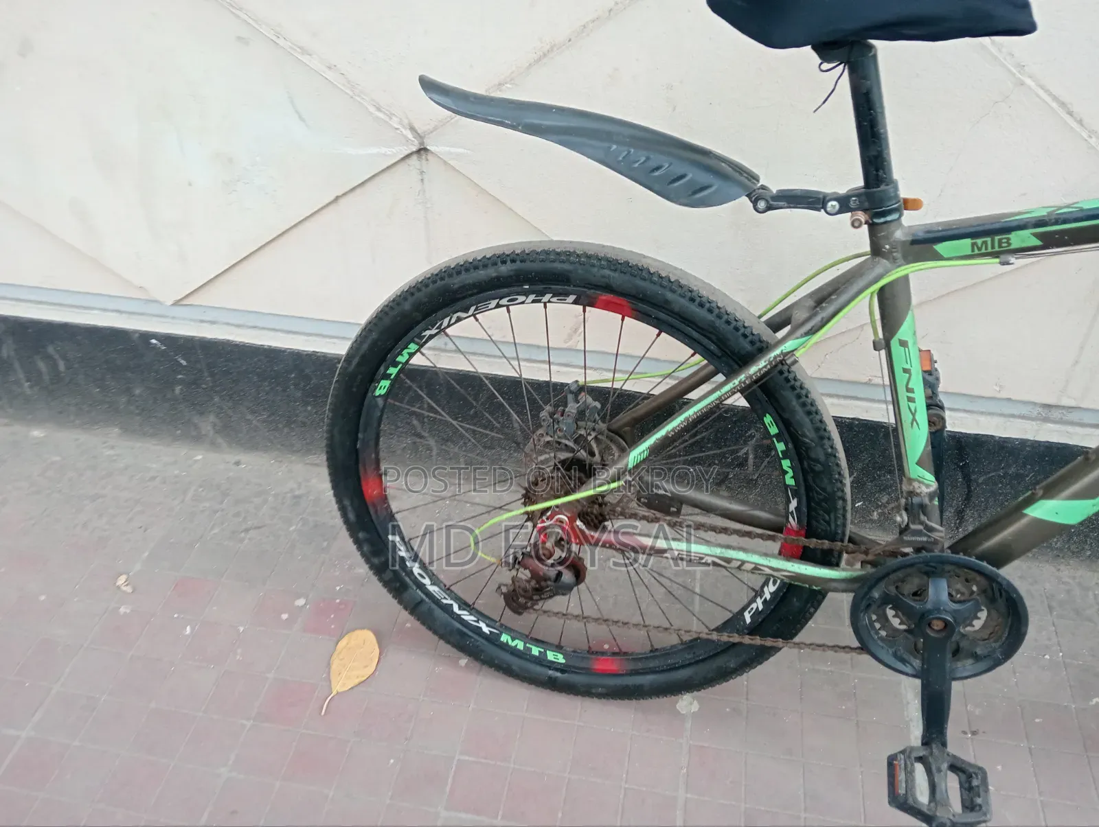 26 Size Phoenix Full Almoniam Giar Cycle